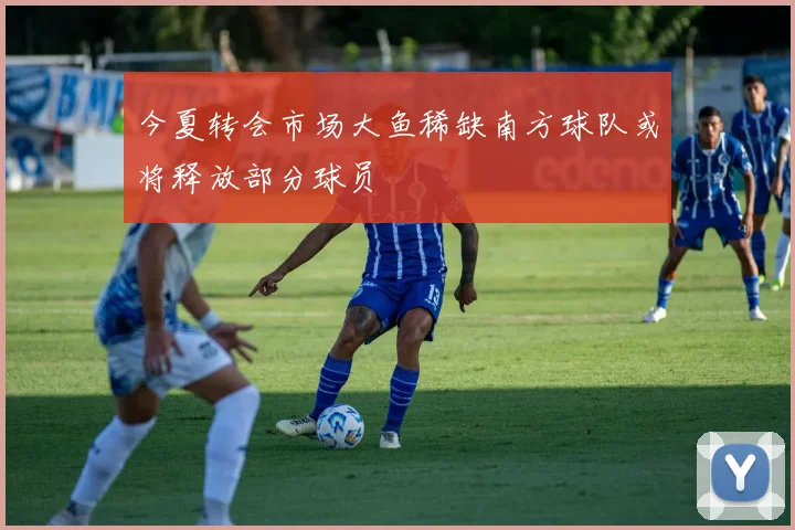 今夏转会市场大鱼稀缺南方球队或将释放部分球员